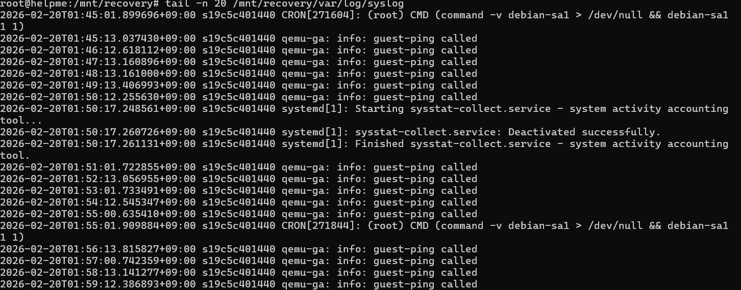 서버 다운 문제
